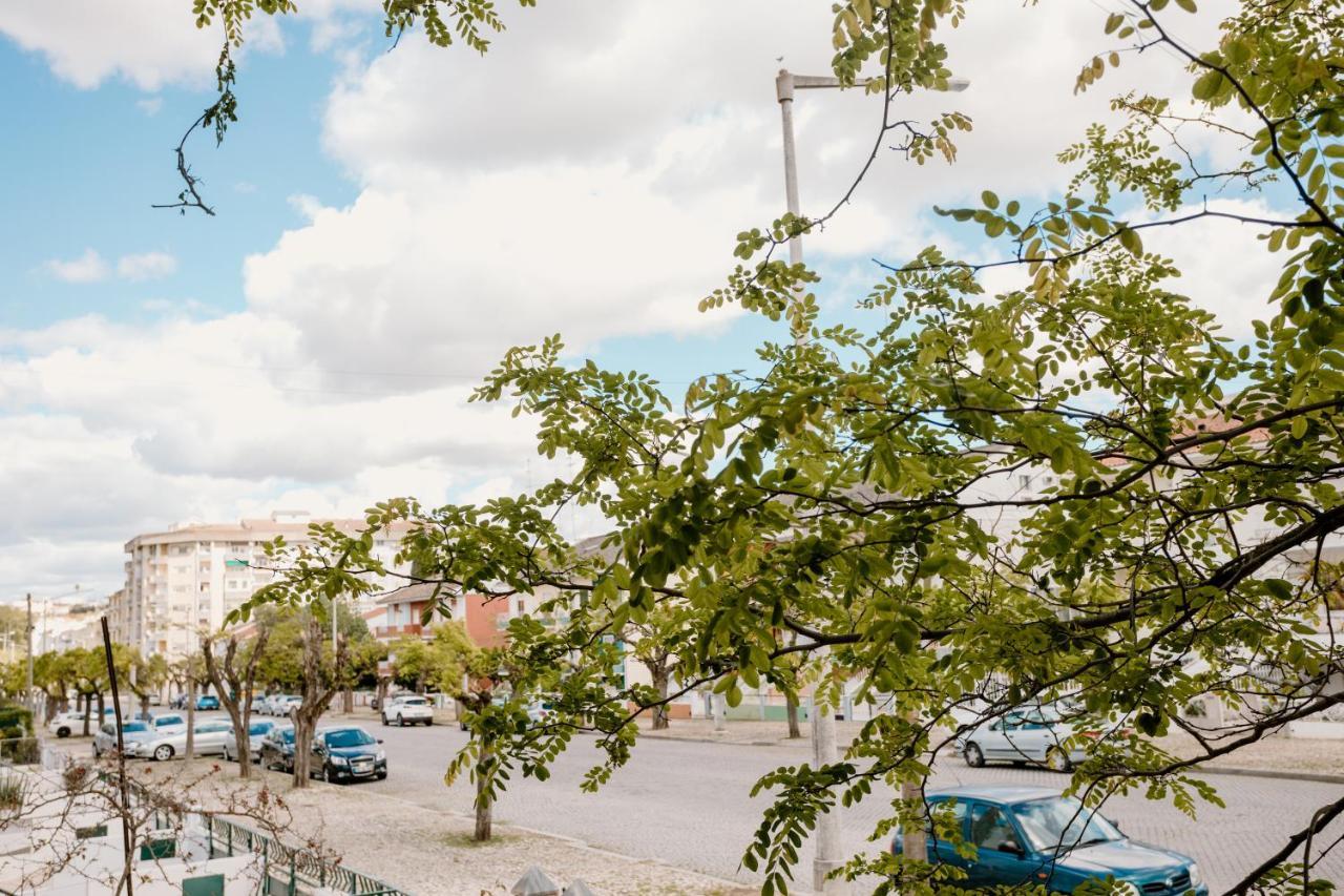 Avenida Villa Elvas Dış mekan fotoğraf